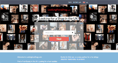Desktop Screenshot of lookingforashag.com